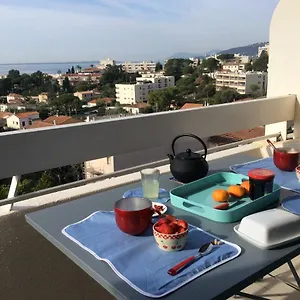 Vue Panoramique Antibes