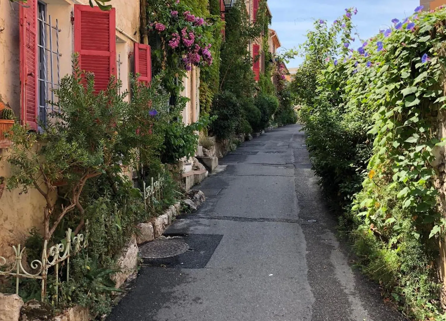 Bijou Apartment In Safranier - Old Town アンティーブ フランス